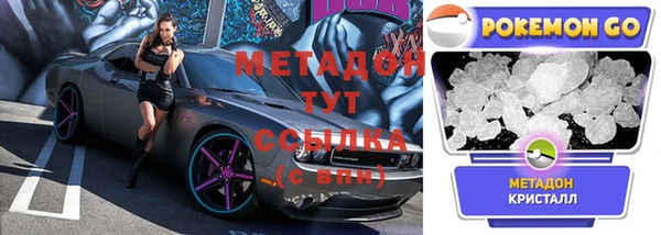 ПСИЛОЦИБИНОВЫЕ ГРИБЫ Осинники