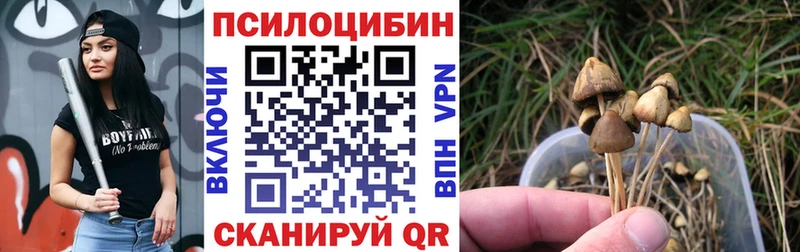 Псилоцибиновые грибы мухоморы  Купить где  Балашиха 