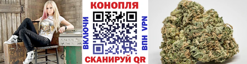 Купить где  Балашиха  Марихуана семена 